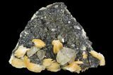 Cerussite Crystals with Bladed Barite on Galena - Morocco #98730-1
